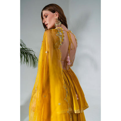 Neha Khullar Yellow Chiffon Kurti Sharara with Organza Dupatta (Set of 3)