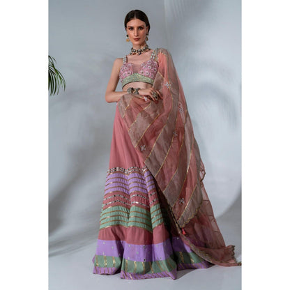 Neha Khullar Pink Georgette Lehenga Blouse with Organza Dupatta (Set of 3)