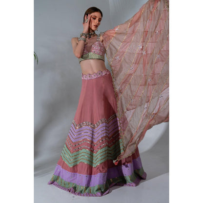 Neha Khullar Pink Georgette Lehenga Blouse with Organza Dupatta (Set of 3)