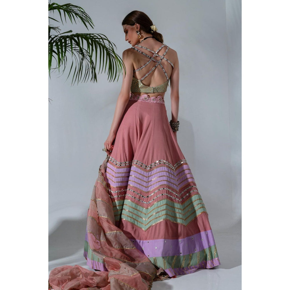 Neha Khullar Pink Georgette Lehenga Blouse with Organza Dupatta (Set of 3)