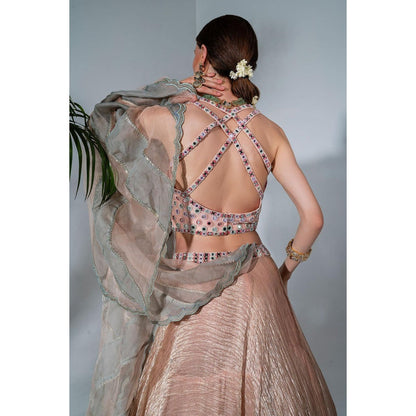 Neha Khullar Pink Tissue Chanderi Lehenga Blouse with Organza Dupatta (Set of 3)