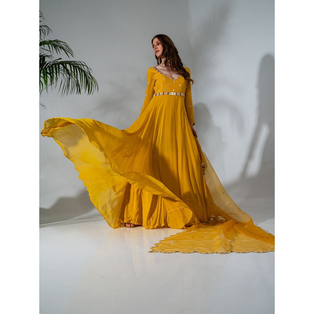 Neha Khullar Yellow Georgette Anarkali with Organza Dupatta (Set of 2)