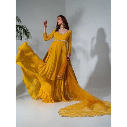 Neha Khullar Yellow Georgette Anarkali with Organza Dupatta (Set of 2)