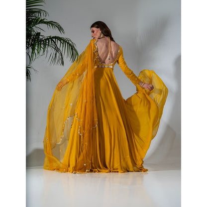 Neha Khullar Yellow Georgette Anarkali with Organza Dupatta (Set of 2)