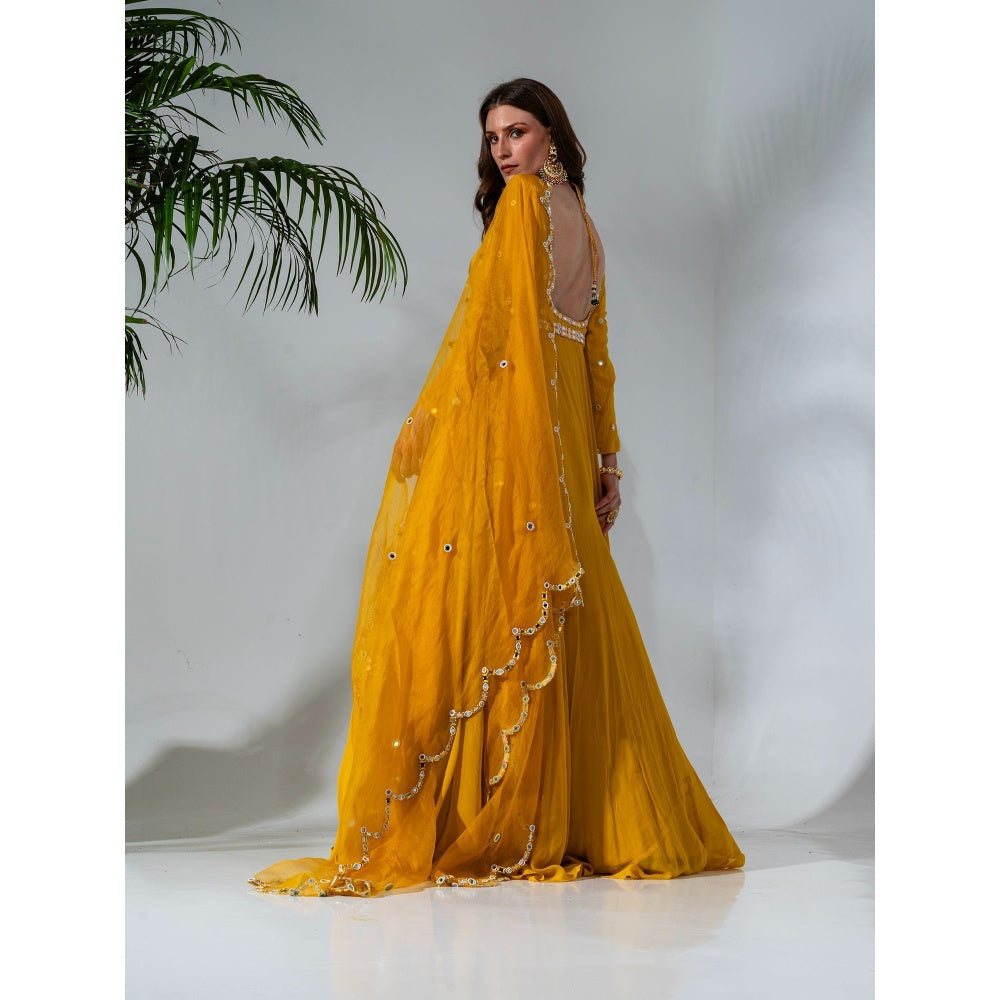 Neha Khullar Yellow Georgette Anarkali with Organza Dupatta (Set of 2)