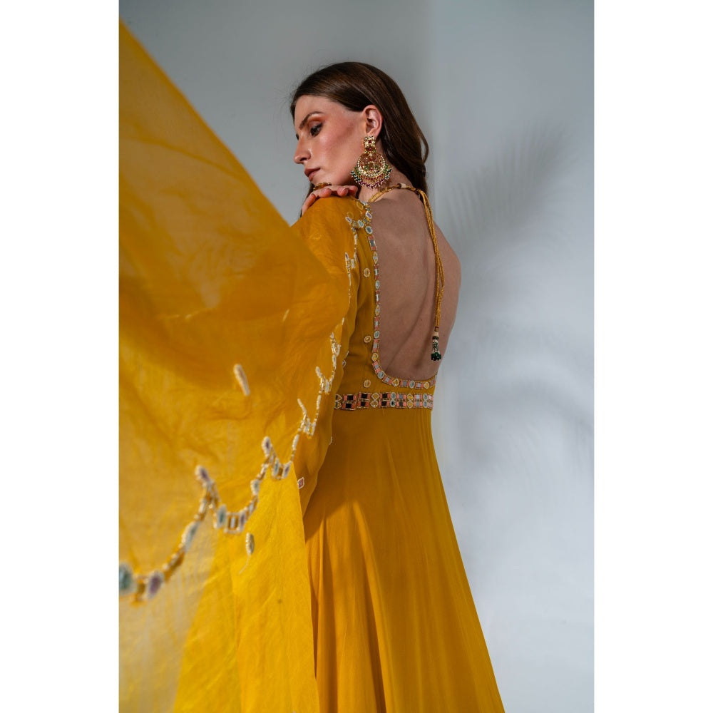 Neha Khullar Yellow Georgette Anarkali with Organza Dupatta (Set of 2)