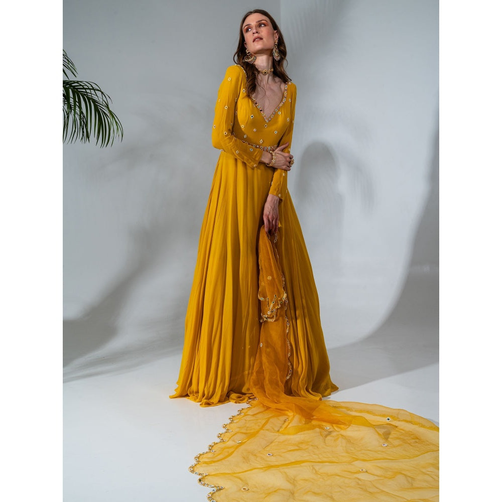 Neha Khullar Yellow Georgette Anarkali with Organza Dupatta (Set of 2)