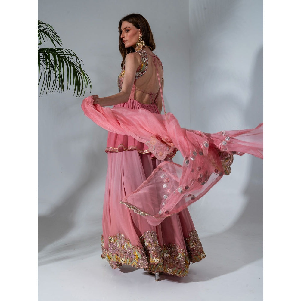 Neha Khullar Pink Georgette Kurti Sharara with Organza Dupatta (Set of 3)