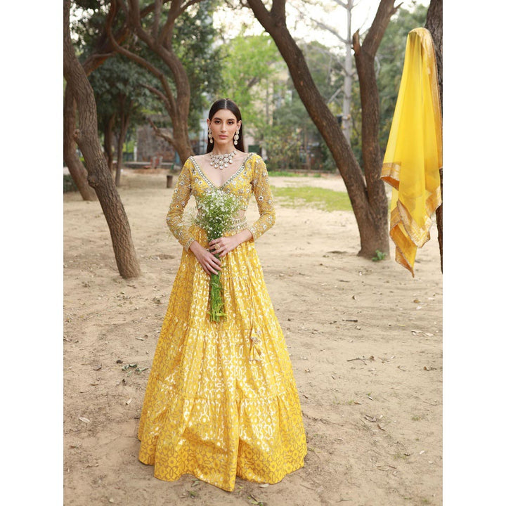 Neha Khullar Yellow Tissue Chanderi Lehenga Blouse with Organza Dupatta (Set of 3)