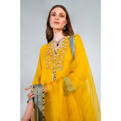 Neha Khullar Yellow Georgette Organza Kurta Pant with Dupatta (Set of 3)