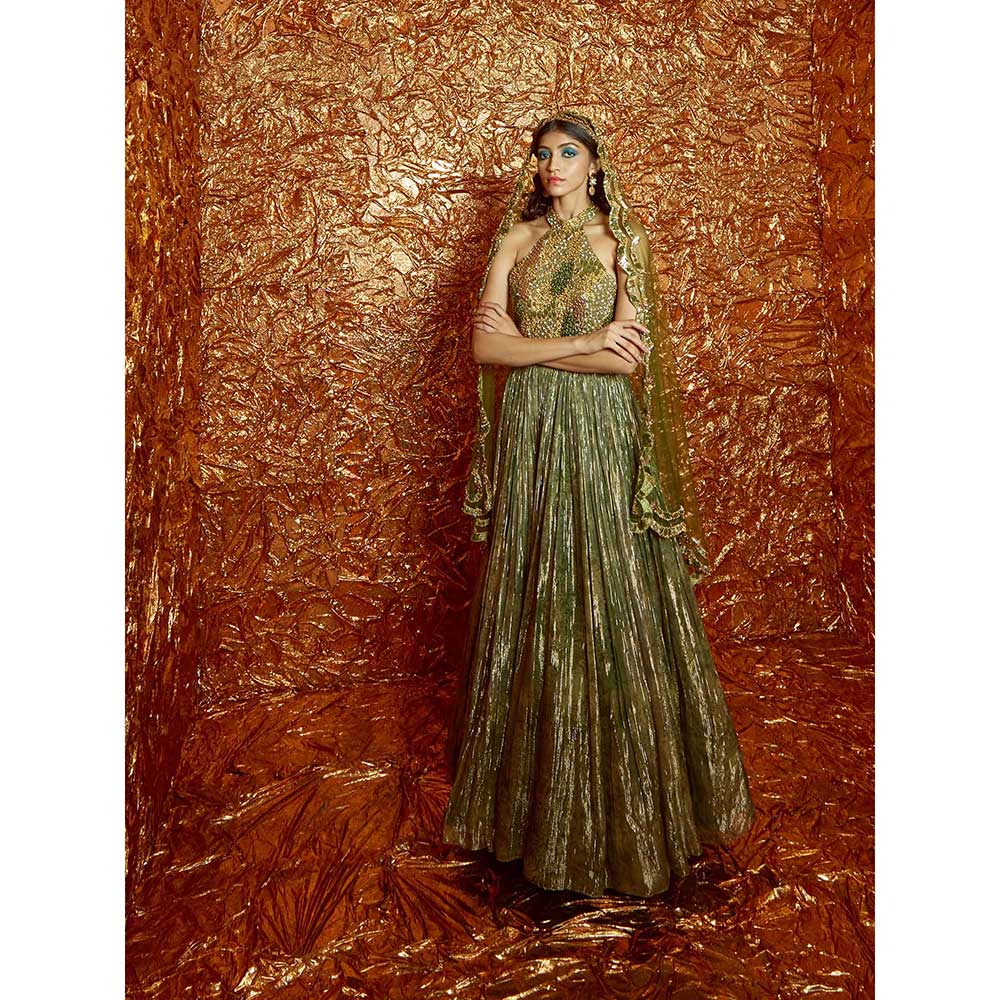 Nirmooha Green Printed, Embroidered Anarkali with Dupatta (Set of 2)