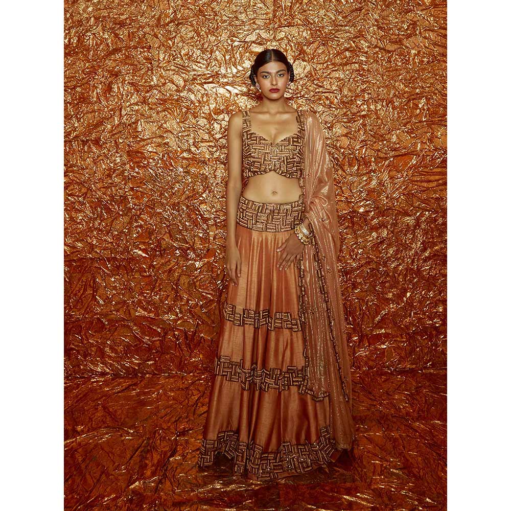 Nirmooha Tan Poth Embroidered Lehenga with Embroidered Blouse and Dupatta (Set of 3)