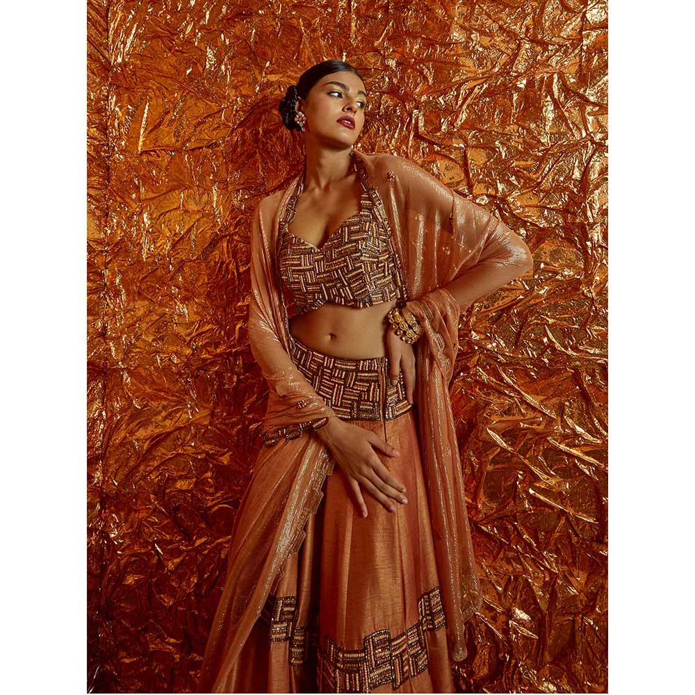 Nirmooha Tan Poth Embroidered Lehenga with Embroidered Blouse and Dupatta (Set of 3)