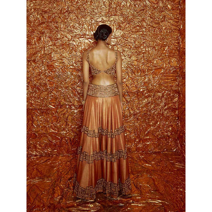 Nirmooha Tan Poth Embroidered Lehenga with Embroidered Blouse and Dupatta (Set of 3)