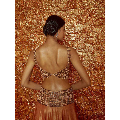 Nirmooha Tan Poth Embroidered Lehenga with Embroidered Blouse and Dupatta (Set of 3)