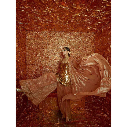 Nirmooha Sequin Sharara Set (Set of 3)