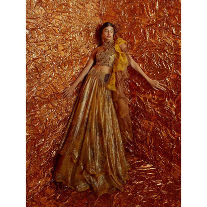 Nirmooha Mustard Lurex Lehenga with Embroidered Blouse and Dupatta (Set of 3)