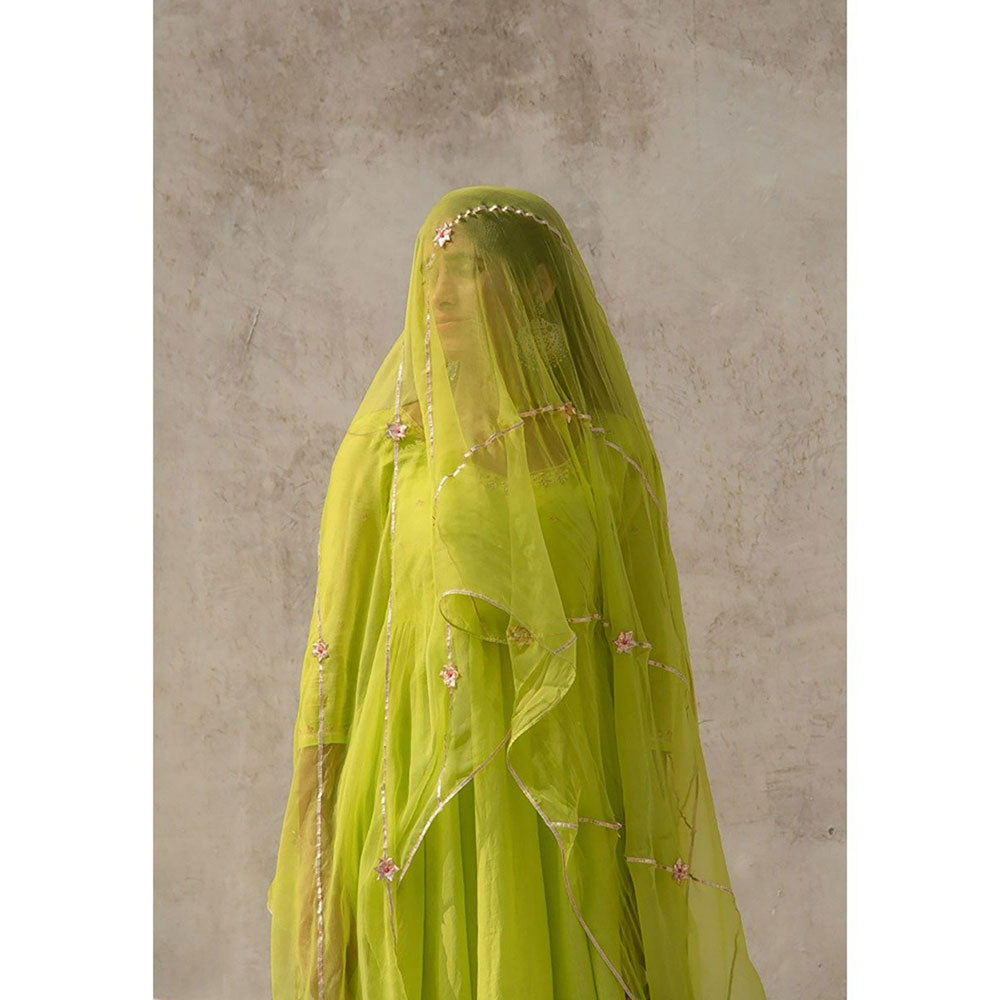 Baise Gaba Green Divija Dupatta Baise Gaba Green Divija Dupatta