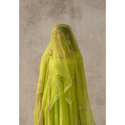 Baise Gaba Green Divija Dupatta Baise Gaba Green Divija Dupatta