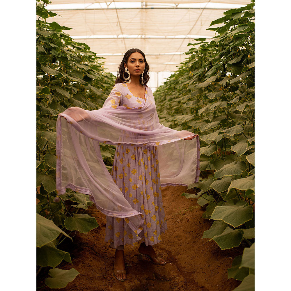 Baise Gaba Lavender Lavender Chiffon Dupatta