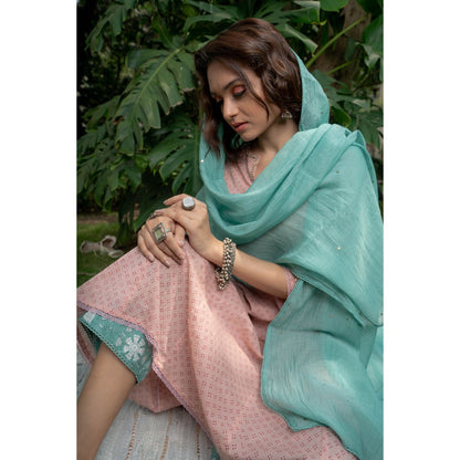 PANTS AND PAJAMAS Aqua Sequin Embroidered Chanderi Dupatta