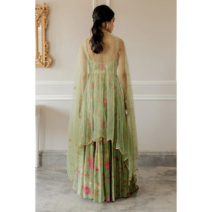 Paulmi Harsh Pista Green Bird Printed Anarkali (Set of 3)