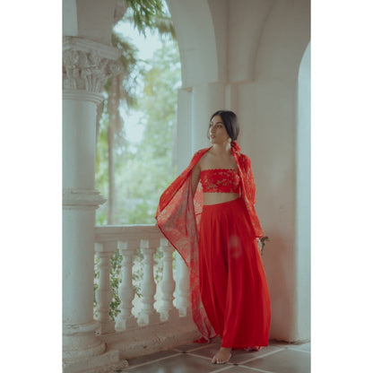 Paulmi & Harsh Poppy Red Rose Printed Fusion (Set of 3)