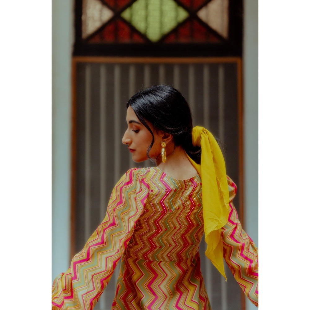 Paulmi & Harsh Zigzag Printed Fusion Maxi