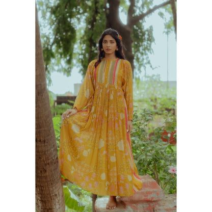 Paulmi & Harsh Naksha Printed Gathered Maxi with Striped Yoke