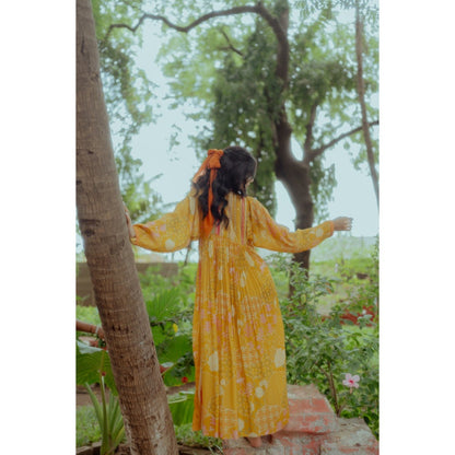 Paulmi & Harsh Naksha Printed Gathered Maxi with Striped Yoke