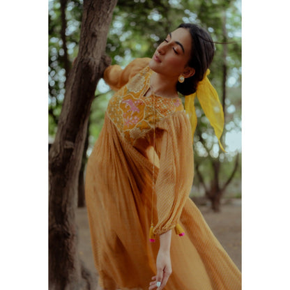 Paulmi & Harsh Flame Printed Ochre Yellow Maxi