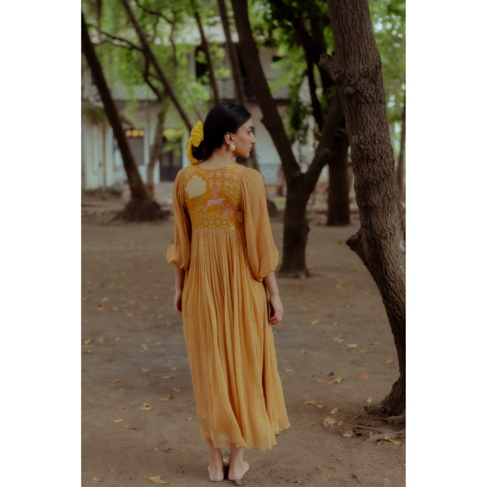 Paulmi & Harsh Flame Printed Ochre Yellow Maxi