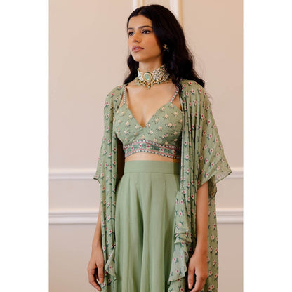 Paulmi & Harsh Pista Green Butti Printed Cape (Set of 3)