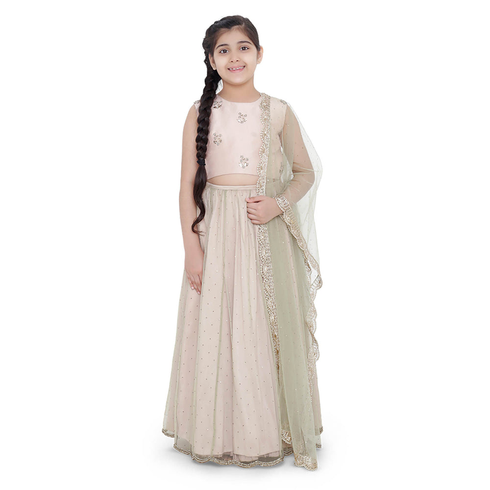 Ps Kids Blush Silk Embroidered Choli With Silk Lehenga And Mint Net Dupatta