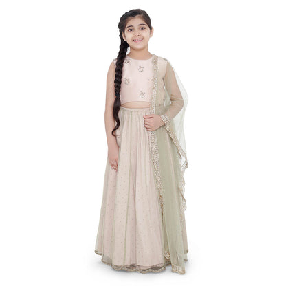PS Kids Blush Silk Embroidered Choli with Silk Lehenga and Mint Net Dupatta (Set of 3)