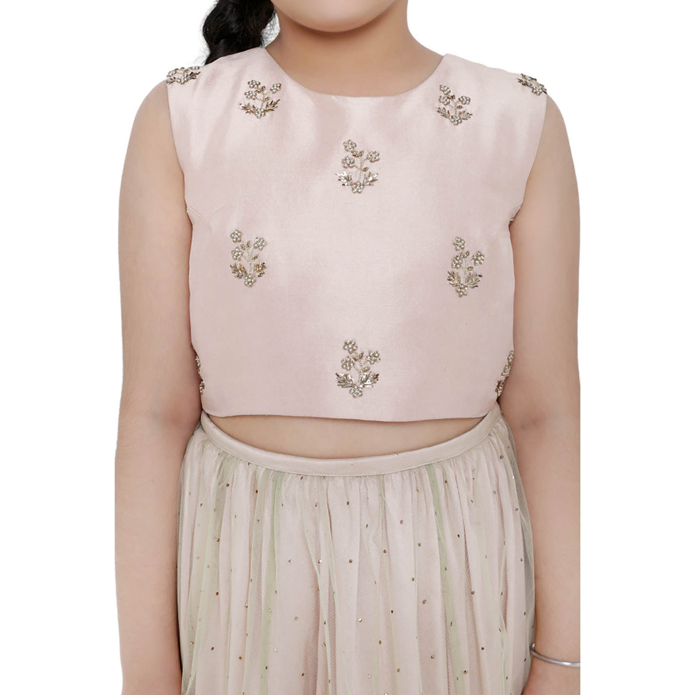 PS Kids Blush Silk Embroidered Choli with Silk Lehenga and Mint Net Dupatta (Set of 3)