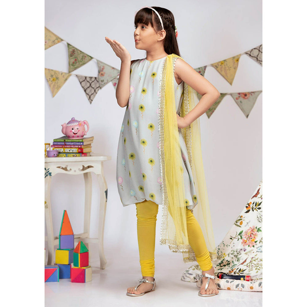 PS Kids By Payal Singhal Grey Printed Balloon Kurta with Churidar & Dupatta (Set of 3)