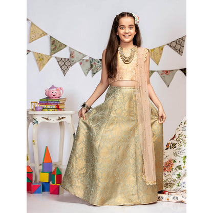 PS Kids By Payal Singhal Blush Brocade Choli with Lehenga And Dupatta (Set of 3)