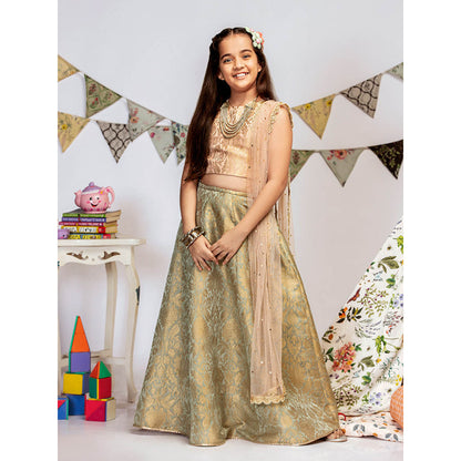 PS Kids By Payal Singhal Blush Brocade Choli with Lehenga And Dupatta (Set of 3)