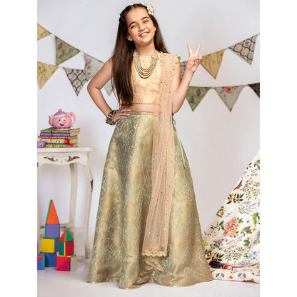 PS Kids By Payal Singhal Blush Brocade Choli with Lehenga And Dupatta (Set of 3)
