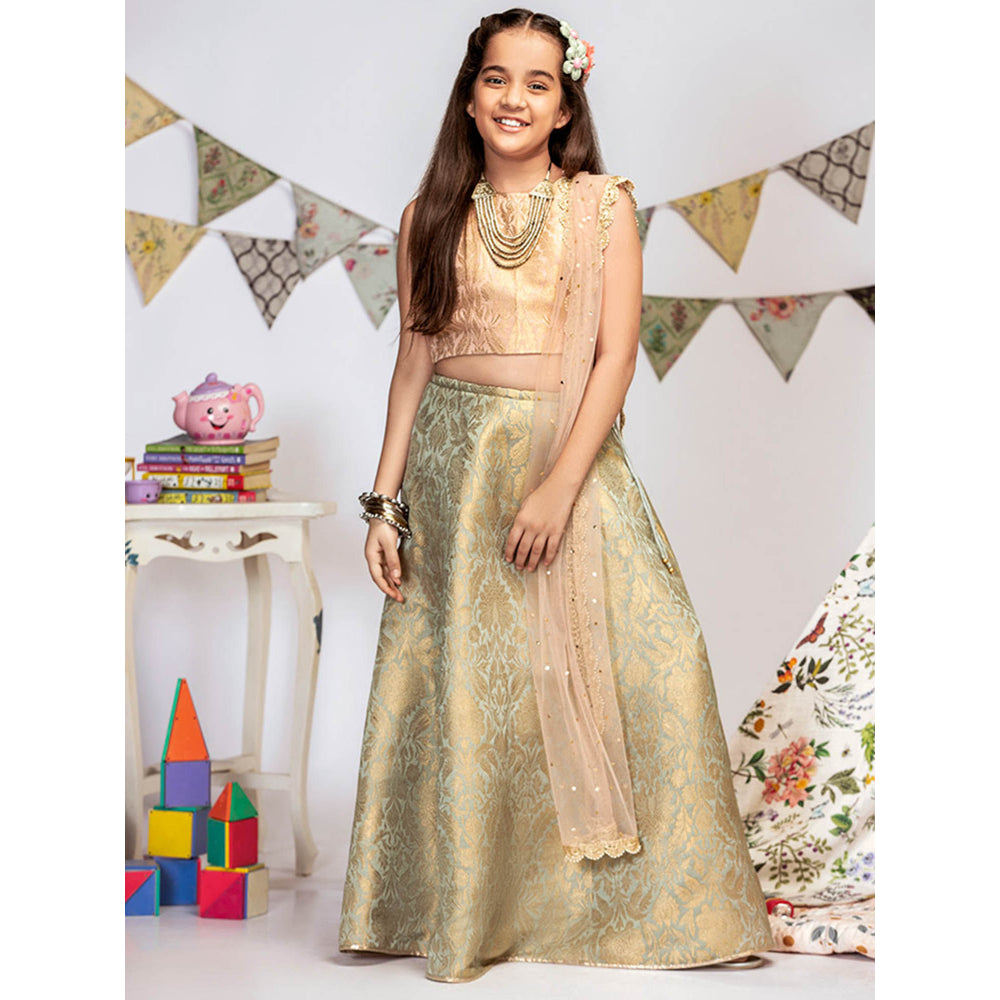 PS Kids By Payal Singhal Blush Brocade Choli with Lehenga And Dupatta (Set of 3)