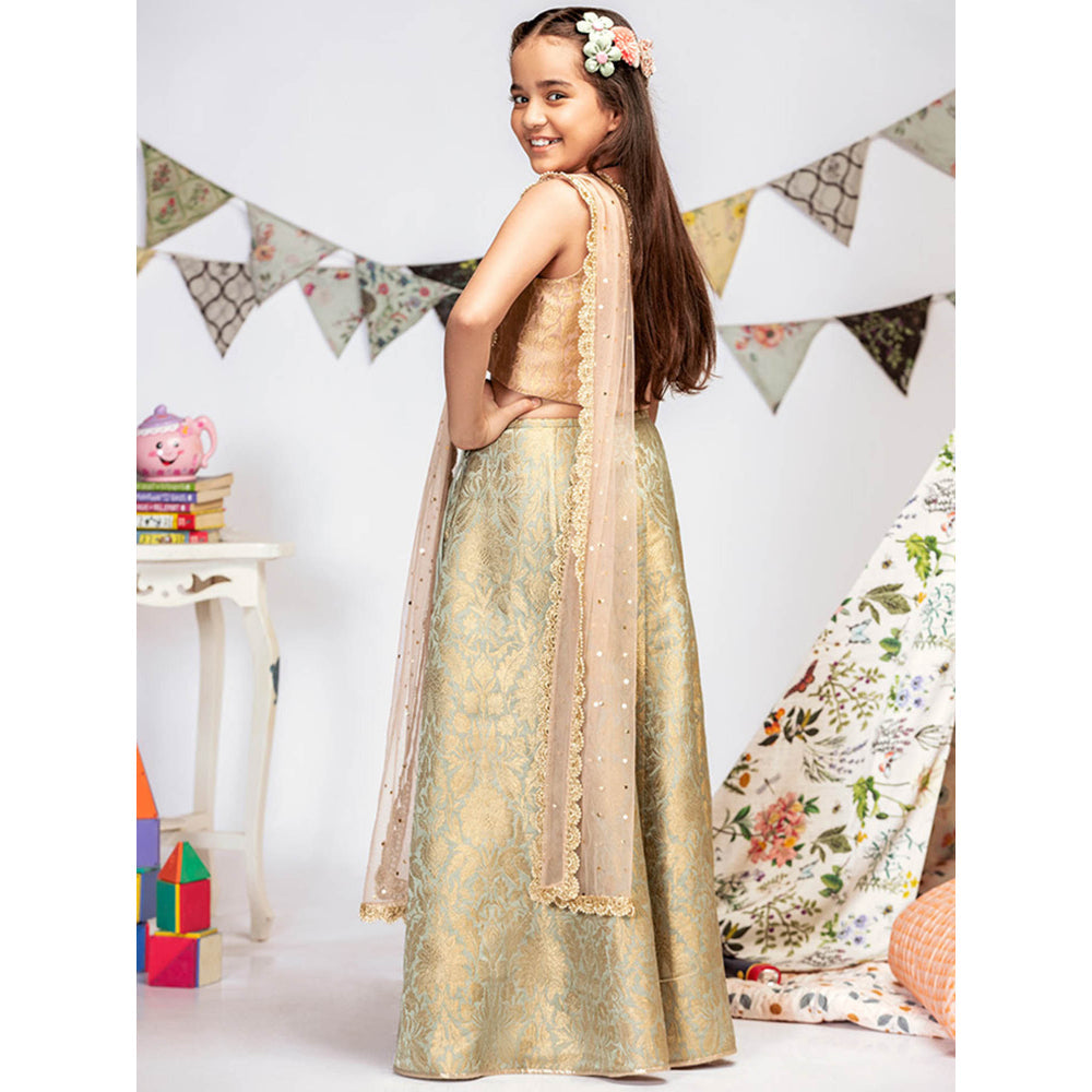 PS Kids By Payal Singhal Blush Brocade Choli with Lehenga And Dupatta (Set of 3)
