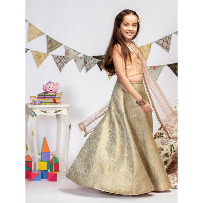 PS Kids By Payal Singhal Blush Brocade Choli with Lehenga And Dupatta (Set of 3)