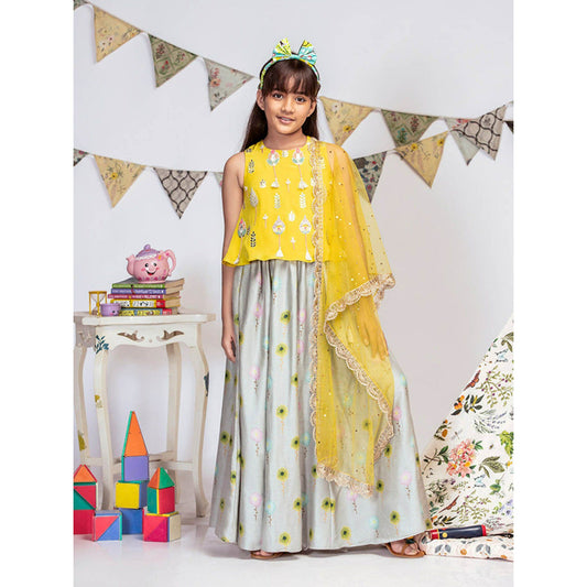 PS Kids By Payal Singhal Top with Grey Printed Lehenga And Dupatta (Set of 3)