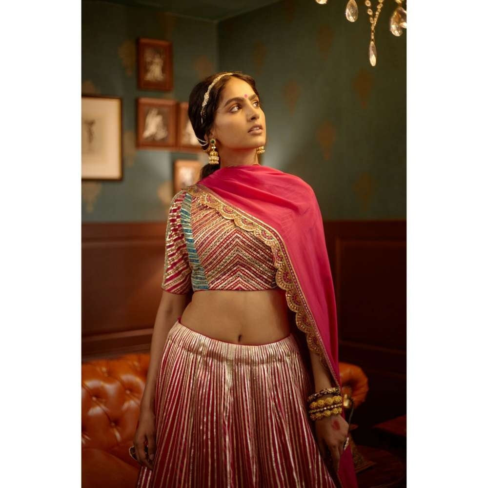 PRATIBHA SULTANIA Pink Panelled Gota Linesand Hand Blouse with Lehenga & Dupatta (Set of 3)