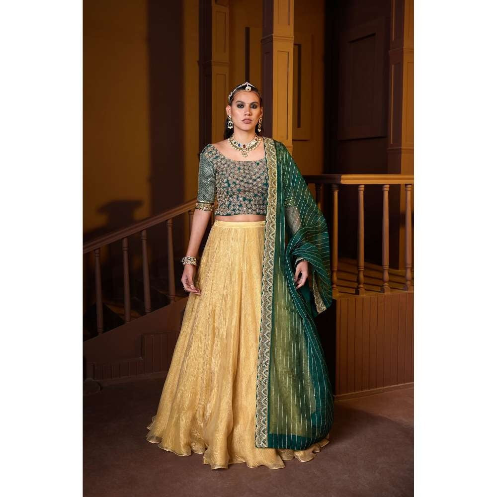 PRATIBHA SULTANIA Hand Embellished Koti Blouse with Tissue Lehenga & Dupatta (Set of 3)