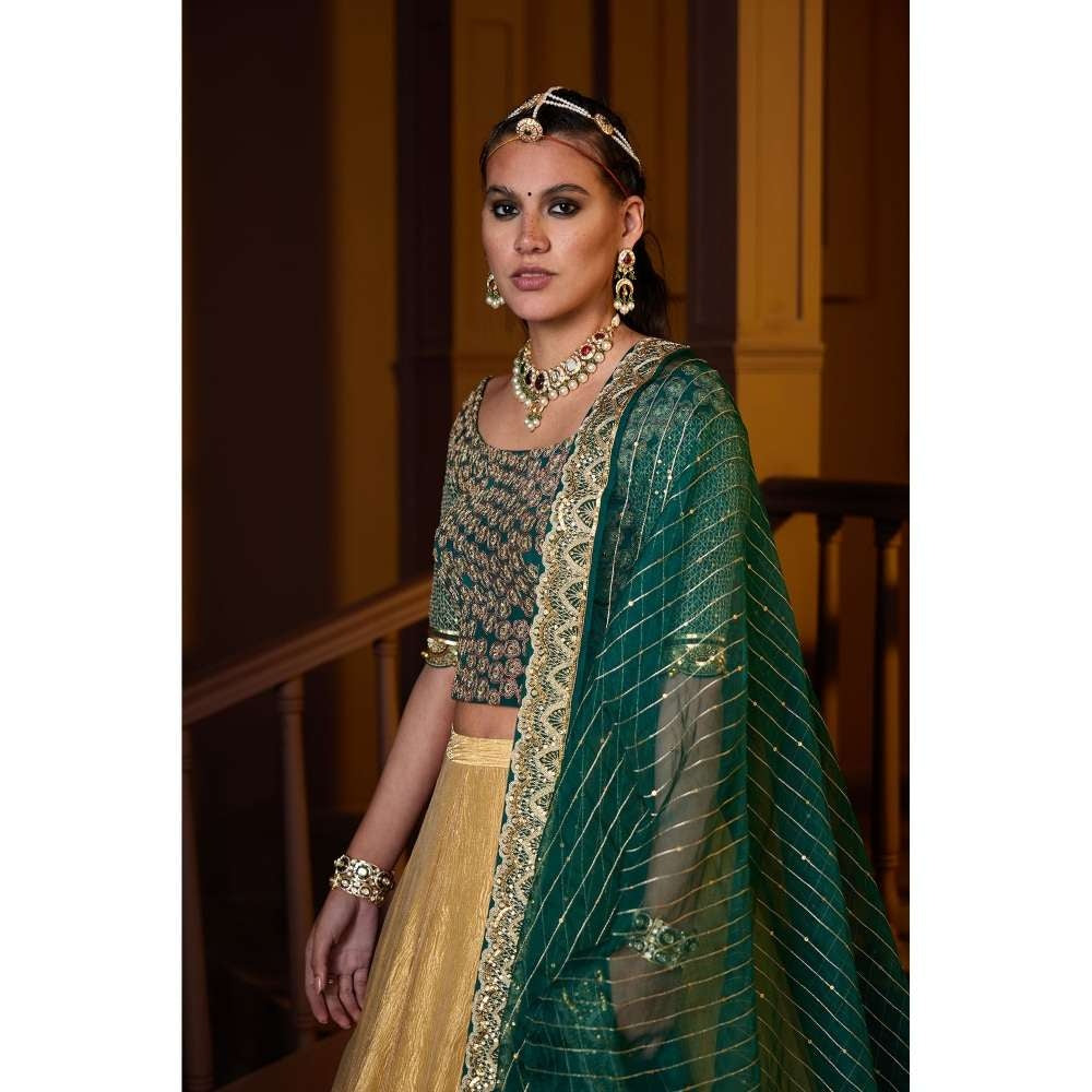 PRATIBHA SULTANIA Hand Embellished Koti Blouse with Tissue Lehenga & Dupatta (Set of 3)