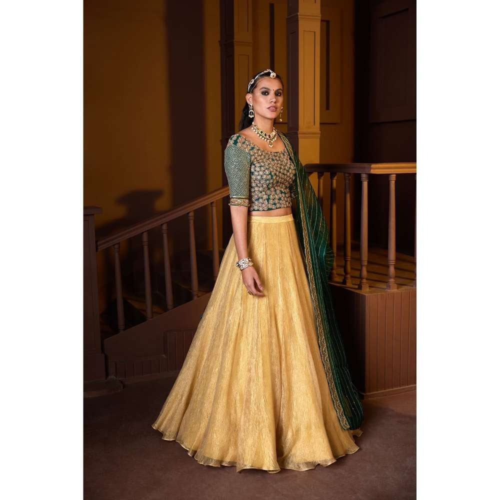 PRATIBHA SULTANIA Hand Embellished Koti Blouse with Tissue Lehenga & Dupatta (Set of 3)