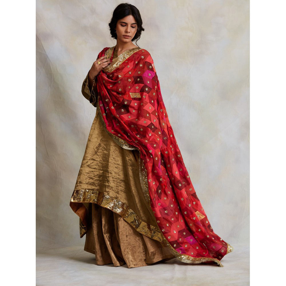 PRIYANKA RAAJIV Gulshan Patchwork Heritage Dupatta