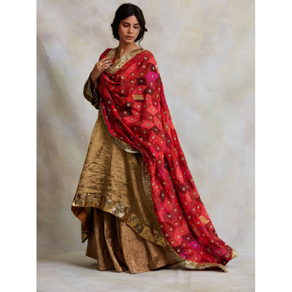 PRIYANKA RAAJIV Gulshan Patchwork Heritage Dupatta